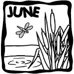 clip art for june with dragonfly and cattails