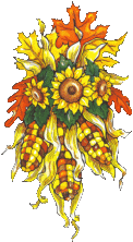illustration of corn and sunflowers